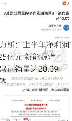 赛力斯：上半年净利润16.25亿元 新能源汽车累计销量达20.09万辆