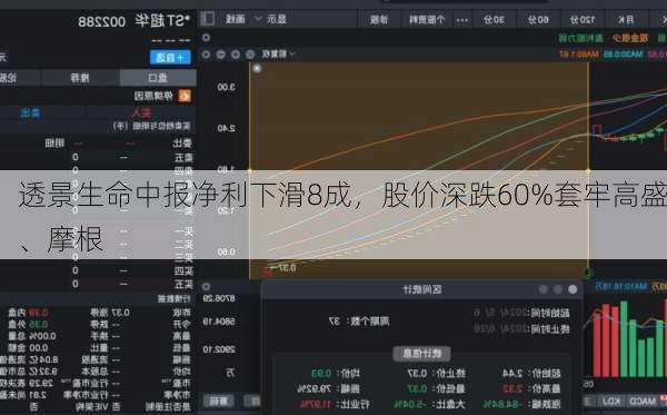 透景生命中报净利下滑8成，股价深跌60%套牢高盛、摩根