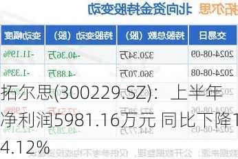 拓尔思(300229.SZ)：上半年净利润5981.16万元 同比下降14.12%