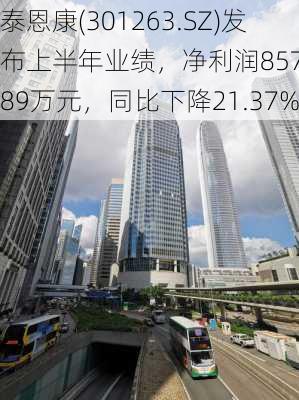 泰恩康(301263.SZ)发布上半年业绩，净利润8574.89万元，同比下降21.37%