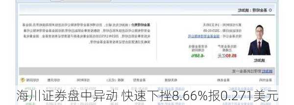 海川证券盘中异动 快速下挫8.66%报0.271美元