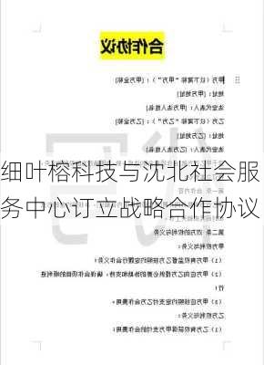 细叶榕科技与沈北社会服务中心订立战略合作协议