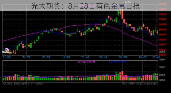 光大期货：8月28日有色金属日报