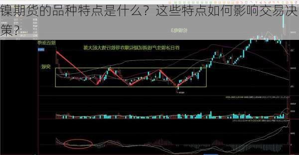 镍期货的品种特点是什么？这些特点如何影响交易决策？