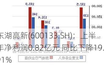 东湖高新(600133.SH)：上半年净利润0.82亿元 同比下降19.91%