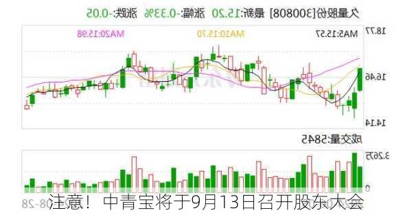 注意！中青宝将于9月13日召开股东大会