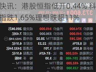 快讯：港股恒指低开0.44% 科指跌1.65%理想跌超11%