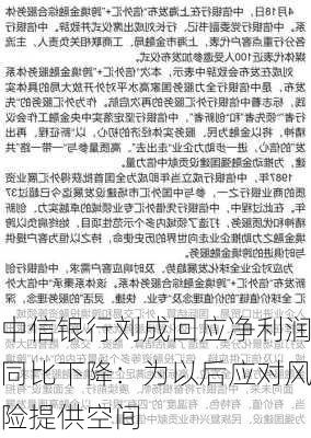 中信银行刘成回应净利润同比下降：为以后应对风险提供空间