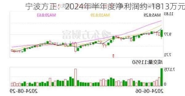 宁波方正：2024年半年度净利润约-1813万元