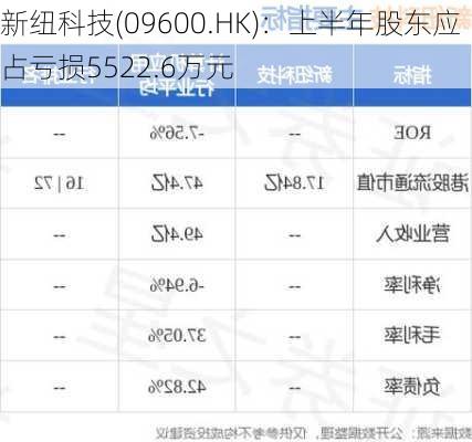 新纽科技(09600.HK)：上半年股东应占亏损5522.6万元