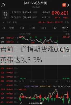 盘前：道指期货涨0.6% 英伟达跌3.3%