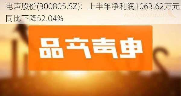 电声股份(300805.SZ)：上半年净利润1063.62万元 同比下降52.04%