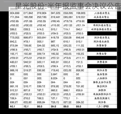 星光股份:半年报监事会决议公告