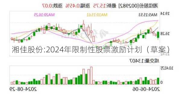 湘佳股份:2024年限制性股票激励计划（草案）