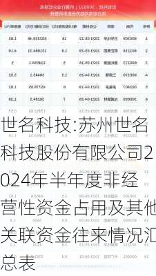 世名科技:苏州世名科技股份有限公司2024年半年度非经营性资金占用及其他关联资金往来情况汇总表