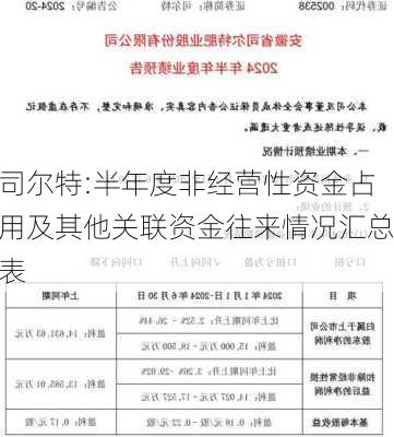 司尔特:半年度非经营性资金占用及其他关联资金往来情况汇总表