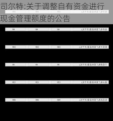 司尔特:关于调整自有资金进行现金管理额度的公告