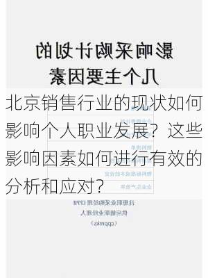 北京销售行业的现状如何影响个人职业发展？这些影响因素如何进行有效的分析和应对？