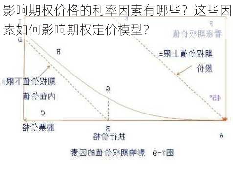 影响期权价格的利率因素有哪些？这些因素如何影响期权定价模型？