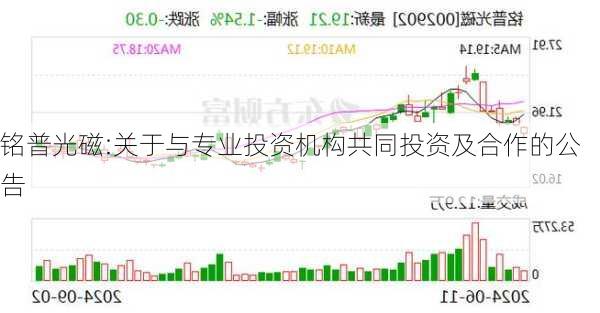 铭普光磁:关于与专业投资机构共同投资及合作的公告