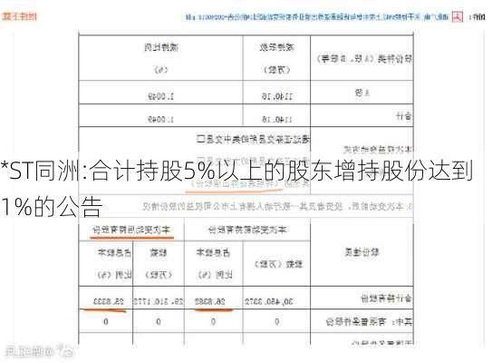 *ST同洲:合计持股5%以上的股东增持股份达到1%的公告