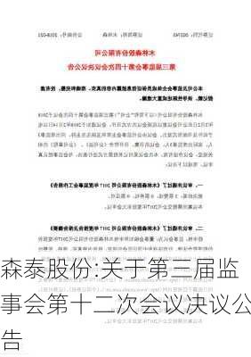 森泰股份:关于第三届监事会第十二次会议决议公告