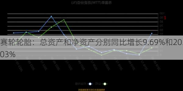 赛轮轮胎：总资产和净资产分别同比增长9.69%和20.03%