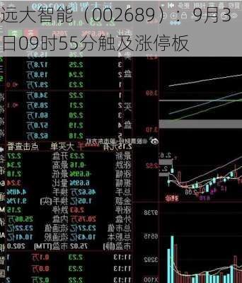 远大智能（002689）：9月3日09时55分触及涨停板