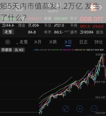 短5天内市值蒸发1.2万亿 发生了什么？