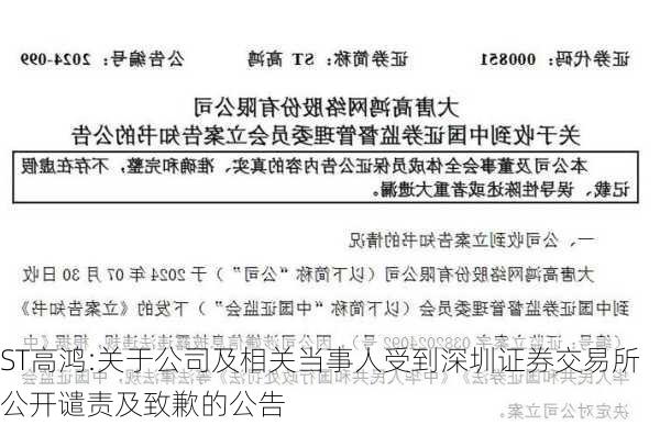 ST高鸿:关于公司及相关当事人受到深圳证券交易所公开谴责及致歉的公告