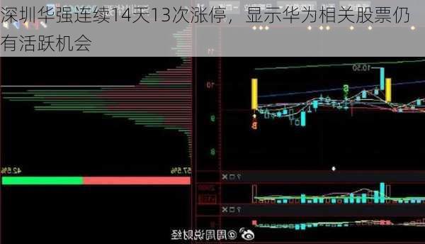 深圳华强连续14天13次涨停，显示华为相关股票仍有活跃机会