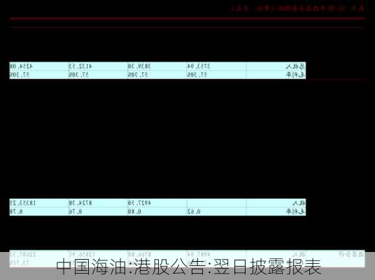 中国海油:港股公告:翌日披露报表