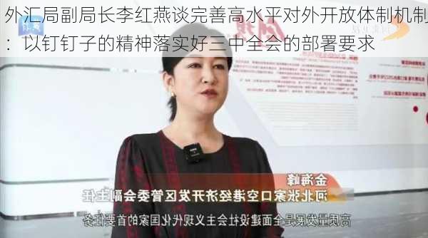 外汇局副局长李红燕谈完善高水平对外开放体制机制：以钉钉子的精神落实好三中全会的部署要求