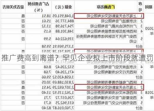 推广费高到离谱？罕见企业拟上市阶段就遭罚