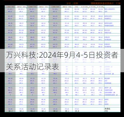 万兴科技:2024年9月4-5日投资者关系活动记录表