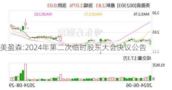 美盈森:2024年第二次临时股东大会决议公告