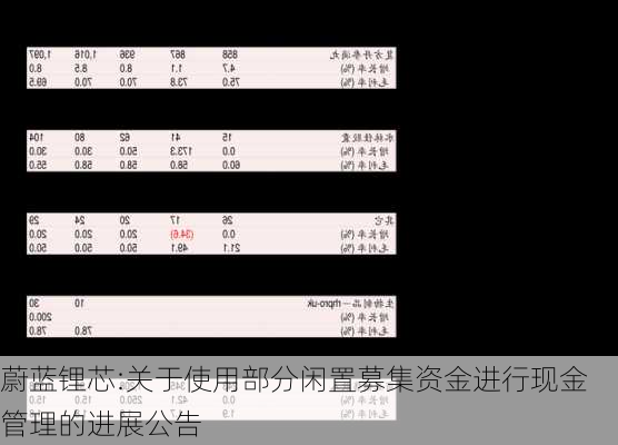 蔚蓝锂芯:关于使用部分闲置募集资金进行现金管理的进展公告