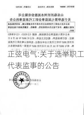 正弦电气:关于选举职工代表监事的公告