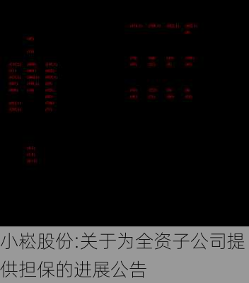 小崧股份:关于为全资子公司提供担保的进展公告
