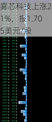 雾芯科技上涨2.1%，报1.705美元/股