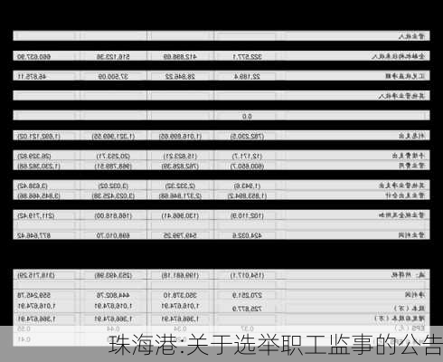 珠海港:关于选举职工监事的公告