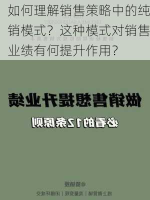 如何理解销售策略中的纯销模式？这种模式对销售业绩有何提升作用？