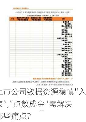 上市公司数据资源稳慎″入表″,″点数成金″需解决哪些痛点？