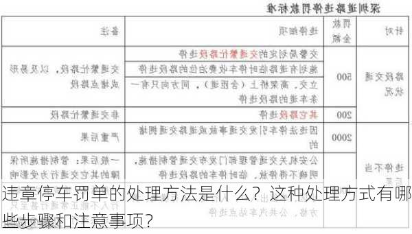 违章停车罚单的处理方法是什么？这种处理方式有哪些步骤和注意事项？