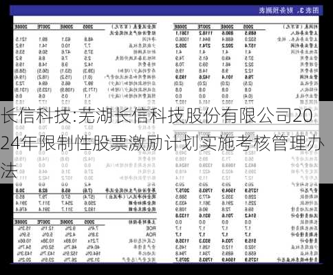 长信科技:芜湖长信科技股份有限公司2024年限制性股票激励计划实施考核管理办法