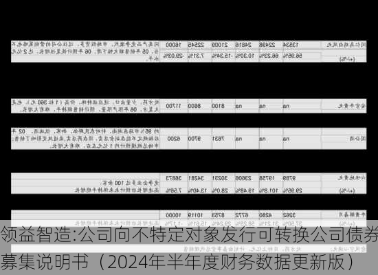 领益智造:公司向不特定对象发行可转换公司债券募集说明书（2024年半年度财务数据更新版）