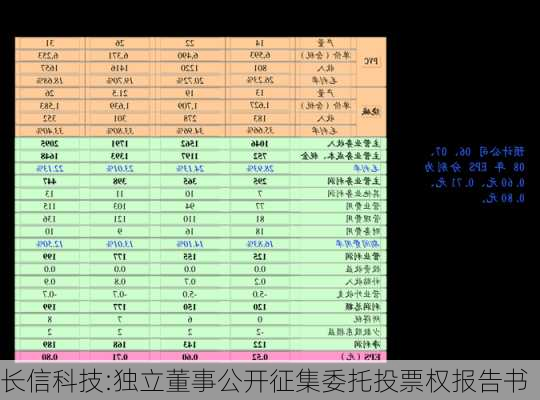 长信科技:独立董事公开征集委托投票权报告书