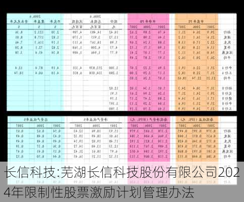 长信科技:芜湖长信科技股份有限公司2024年限制性股票激励计划管理办法