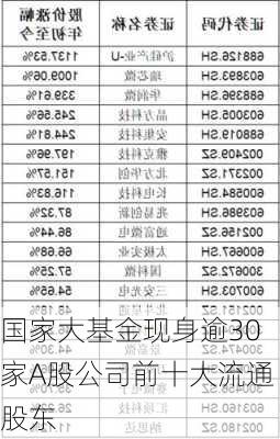 国家大基金现身逾30家A股公司前十大流通股东