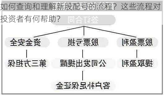 如何查询和理解新股配号的流程？这些流程对投资者有何帮助？